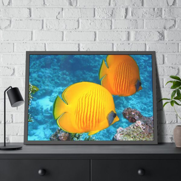 93854-59.jpg Exotic Fish Framed Poster