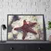 Red Knobbed Starfish Framed Poster