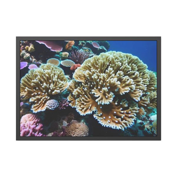 93855-141.jpg Coral Reef In The Ocean Framed Poster