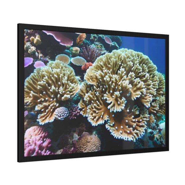 93855-142.jpg Coral Reef In The Ocean Framed Poster