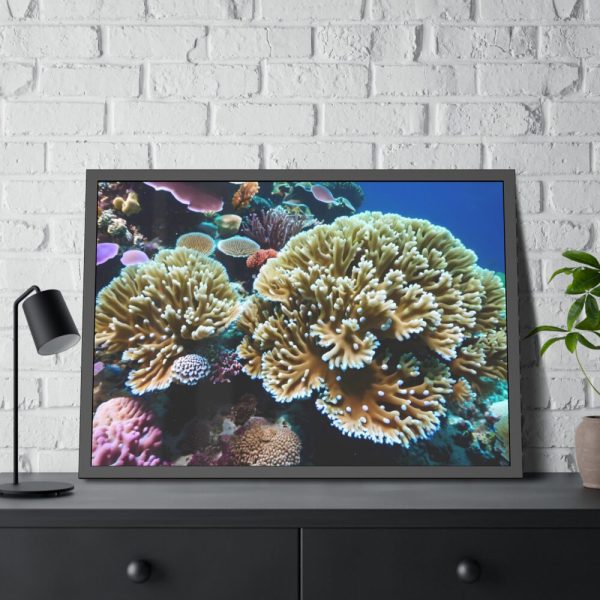 93855-144.jpg Coral Reef In The Ocean Framed Poster