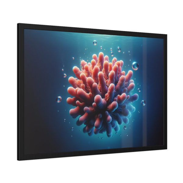 93855-166.jpg Coral With Surrounding Water Bubbles Framed Poster