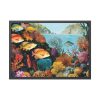 93855-181.jpg Vibrant Marine Life Scene II Framed Poster
