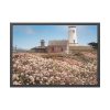 93855-4.jpg The Piedras Blancas Light Station Framed Poster