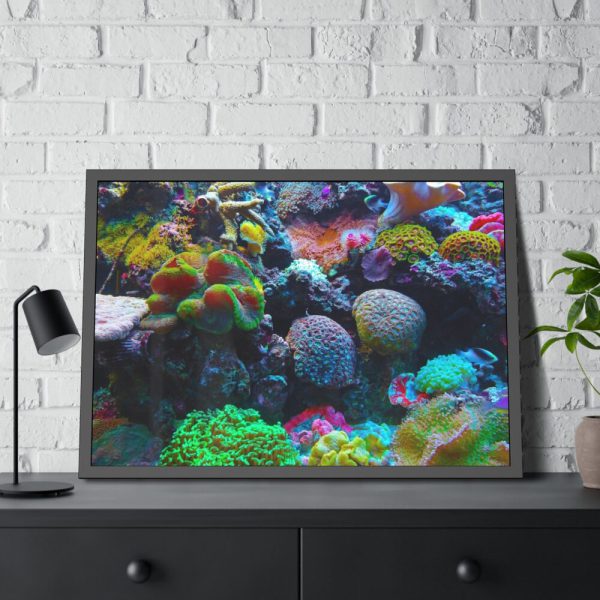 93855-43.jpg Colorful Reefs and Fish Framed Poster