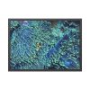 Hiding Clown Fish In Corals Framed Poster