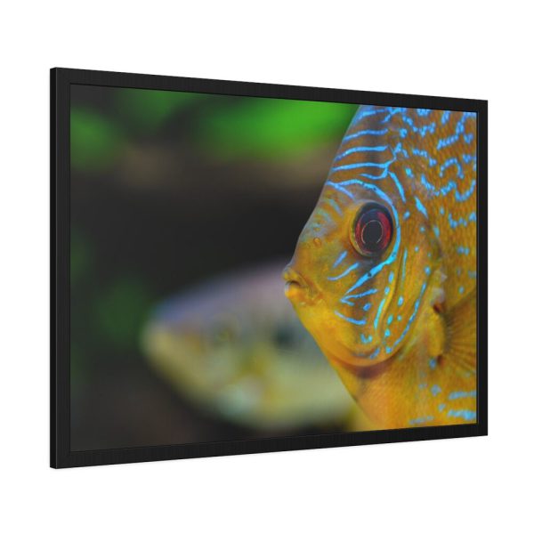 93855-53.jpg Yellow Exotic Fish Framed Poster