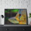 93855-55.jpg Yellow Exotic Fish Framed Poster