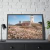 93855-7.jpg The Piedras Blancas Light Station Framed Poster