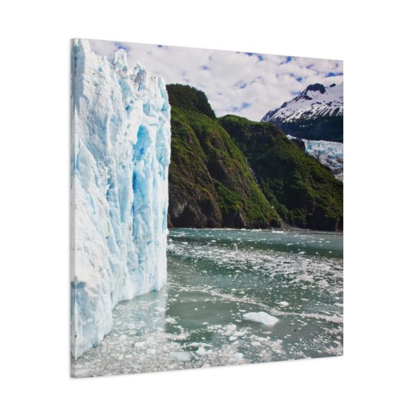 101419-50.jpg Gulf of Alaska On the South Coast of Alaska Standard Canvas