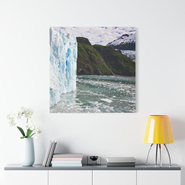 101419-52.jpg Gulf of Alaska On the South Coast of Alaska Standard Canvas