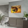 101875-139.jpg Dandelion and Sunset Poster