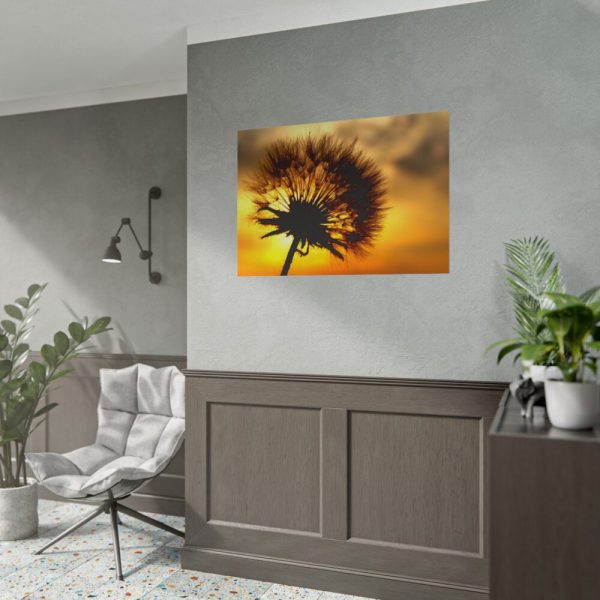 101875-139.jpg Dandelion and Sunset Poster