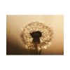 101875-140.jpg Dandelion on Yellow Day Poster