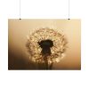 101875-141.jpg Dandelion on Yellow Day Poster