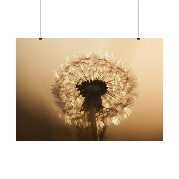 101875-141.jpg Dandelion on Yellow Day Poster