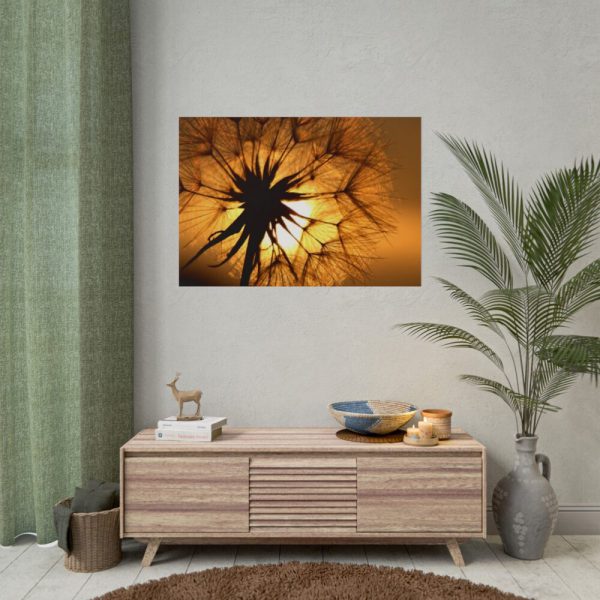 101875-173.jpg Closeup Dandelion Poster
