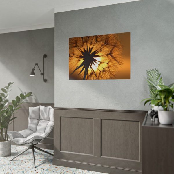 101875-174.jpg Closeup Dandelion Poster