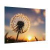 101875-182.jpg Dandelion Blossom Flower II Poster