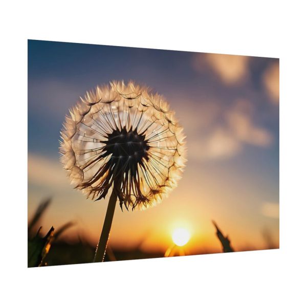 101875-182.jpg Dandelion Blossom Flower II Poster