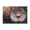 101875-195.jpg Dandelion Seeds Flower Head in Close Up Poster