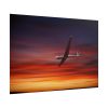 101875-217.jpg Plane On the Sky Poster