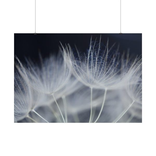 101875-226.jpg Macro Flower Detail Poster