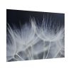 101875-227.jpg Macro Flower Detail Poster