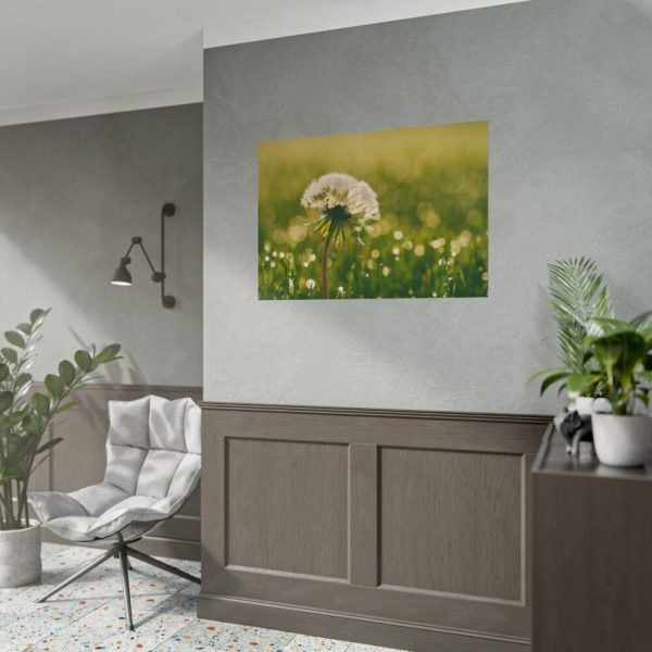 101875-234.jpg Dandelion in Dewey Grassy Area Poster