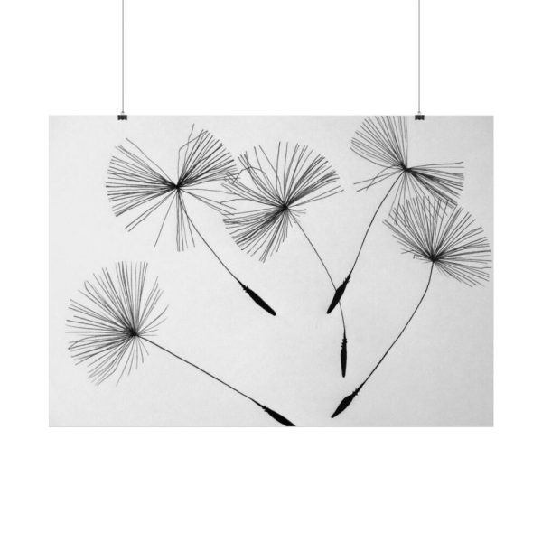 Dandelion Seeds Poster
