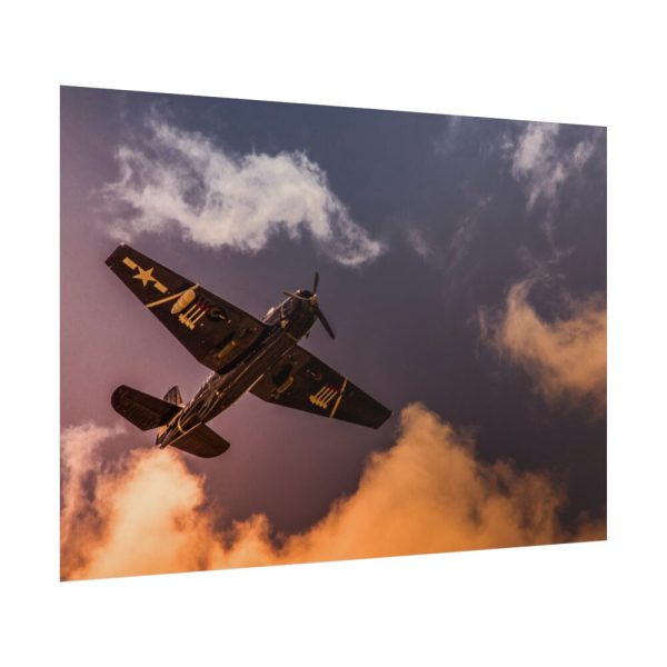 101875-242.jpg Ground View of an Old War Plane Poster
