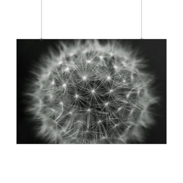 Dandelion Light Effect Poster