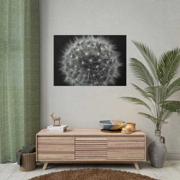 Dandelion Light Effect Poster