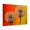 101875-267.jpg Dandelion on Yellow Background Poster