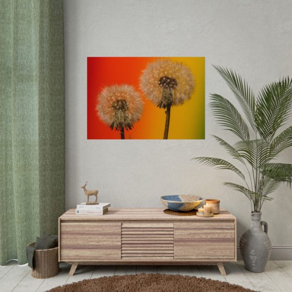 101875-268.jpg Dandelion on Yellow Background Poster