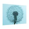 101875-272.jpg Dandelion Puffball Puff Poster