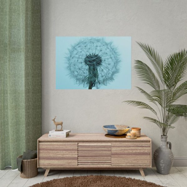 101875-273.jpg Dandelion Puffball Puff Poster