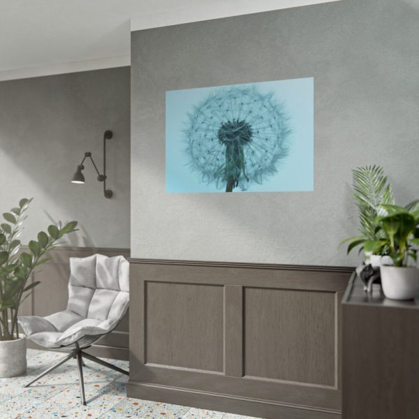 101875-274.jpg Dandelion Puffball Puff Poster