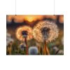 101875-291.jpg Dandelion Blossom Flower Poster