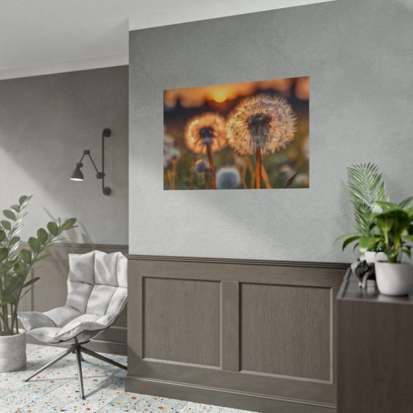 101875-294.jpg Dandelion Blossom Flower Poster