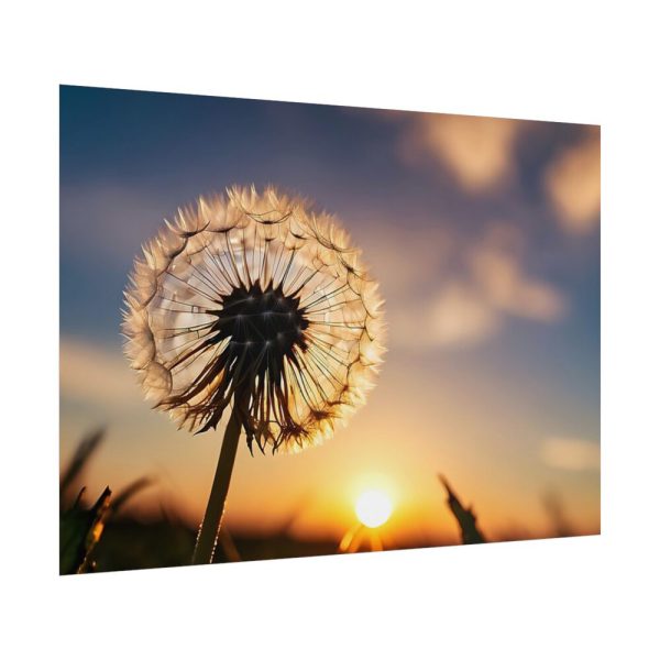 Dandelion in Golden Hour Poster