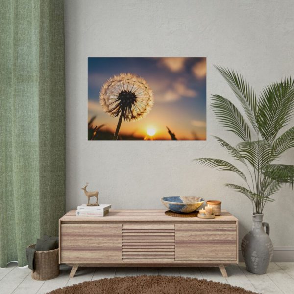 Dandelion in Golden Hour Poster