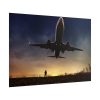 101875-367.jpg Man With Airplaine in Landscape Poster