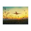 101875-370.jpg Grass, Sky, Nature, Airport Poster