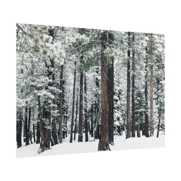 Old Mammoth Road Poster
