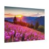 101875-582.jpg Sunlight Afterglow Poster