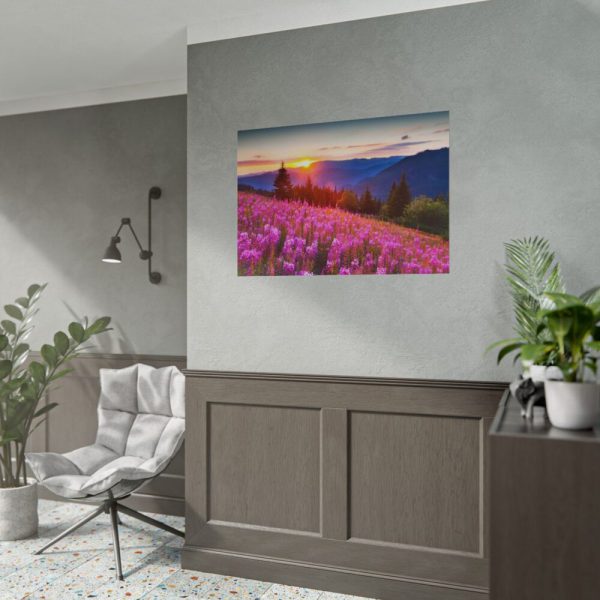 101875-584.jpg Sunlight Afterglow Poster