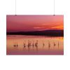 101875-596.jpg Sunset Leaves Silhouette Poster