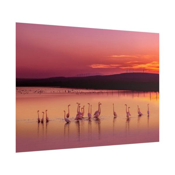 101875-597.jpg Sunset Leaves Silhouette Poster
