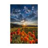 101894-160.jpg Sunset in Field With Red Wild Flowers Poster